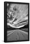 Essential Black