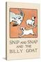 Snip And Snap And the Billy Goat-Julia Dyar Hardy-Stretched Canvas