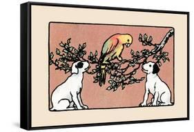 Snip And Snap And the Poll Parrot-Julia Dyar Hardy-Framed Stretched Canvas