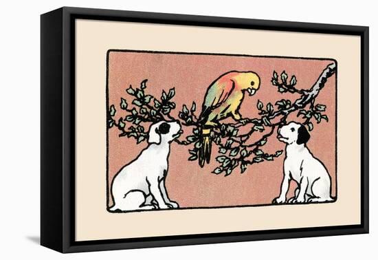 Snip And Snap And the Poll Parrot-Julia Dyar Hardy-Framed Stretched Canvas