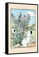 Snip And Snap Play In the Lilac Bushes-Julia Dyar Hardy-Framed Stretched Canvas