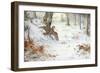 Snipe in Wooded Landscape-Carl Donner-Framed Giclee Print