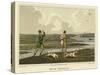 Snipe Shooting-Henry Thomas Alken-Stretched Canvas