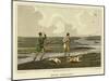 Snipe Shooting-Henry Thomas Alken-Mounted Giclee Print