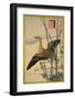 Snipe, Smooth Cane and Morning Glory-Sugakudo-Framed Art Print