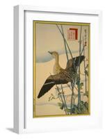 Snipe, Smooth Cane and Morning Glory-Sugakudo-Framed Art Print