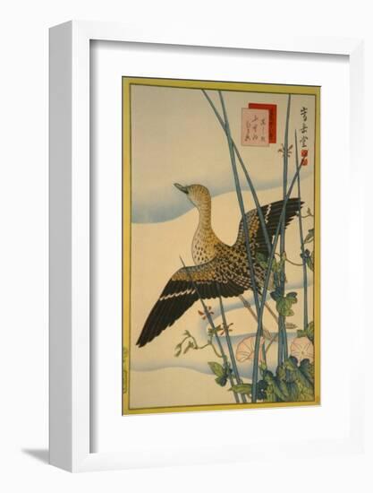 Snipe, Smooth Cane and Morning Glory-Sugakudo-Framed Art Print