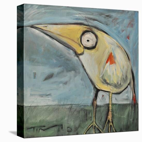 Snipe-Tim Nyberg-Stretched Canvas