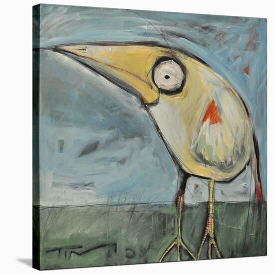 Snipe-Tim Nyberg-Stretched Canvas