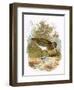 Snipe-English-Framed Premium Giclee Print