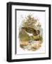 Snipe-English-Framed Premium Giclee Print