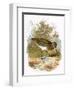 Snipe-English-Framed Premium Giclee Print