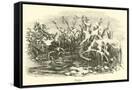 Canvas Black