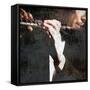 Snipets of Music 4-Karen Williams-Framed Stretched Canvas