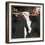 Snipets of Music 4-Karen Williams-Framed Giclee Print