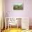 Snity House, Bethlehem, Pennsylvania-null-Stretched Canvas displayed on a wall