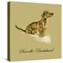 Snoodle The Daschund-Lucy Dawson-Stretched Canvas