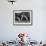 Snooker Player Prepares to Play a Shot as His Partner Looks On-null-Framed Photographic Print displayed on a wall