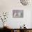 Snoozy :)-Ellen Van Deelen-Stretched Canvas displayed on a wall