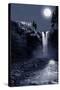 Snoqualmie Falls, Washington, View of the Falls at Night-Lantern Press-Stretched Canvas