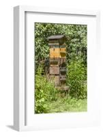 Snoqualmie, Washington State, USA. A Warre beehive.-Janet Horton-Framed Photographic Print
