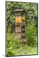 Snoqualmie, Washington State, USA. A Warre beehive.-Janet Horton-Mounted Photographic Print