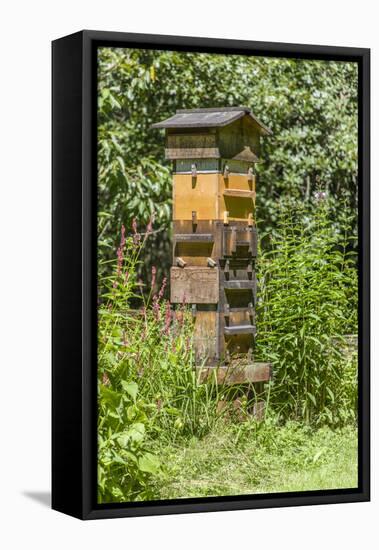 Snoqualmie, Washington State, USA. A Warre beehive.-Janet Horton-Framed Stretched Canvas