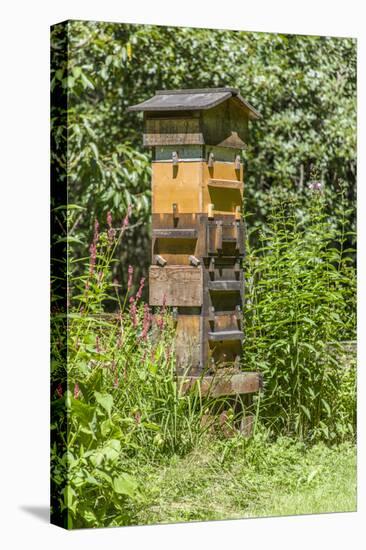 Snoqualmie, Washington State, USA. A Warre beehive.-Janet Horton-Stretched Canvas