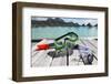 Snorkel and Mask-Alex Edmonds-Framed Photographic Print