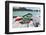 Snorkel and Mask-Alex Edmonds-Framed Photographic Print