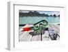 Snorkel and Mask-Alex Edmonds-Framed Photographic Print