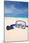 Snorkel Equipment on a Tropical Beach-haveseen-Mounted Photographic Print