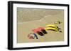 Snorkel Equipment, Sosua Beach, Dominican Republic-Natalie Tepper-Framed Photo