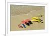 Snorkel Equipment, Sosua Beach, Dominican Republic-Natalie Tepper-Framed Photo