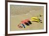 Snorkel Equipment, Sosua Beach, Dominican Republic-Natalie Tepper-Framed Photo