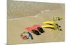 Snorkel Equipment, Sosua Beach, Dominican Republic-Natalie Tepper-Mounted Photo