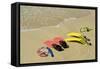 Snorkel Equipment, Sosua Beach, Dominican Republic-Natalie Tepper-Framed Stretched Canvas