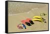 Snorkel Equipment, Sosua Beach, Dominican Republic-Natalie Tepper-Framed Stretched Canvas