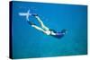 Snorkeler Diving Underwater-DLILLC-Stretched Canvas