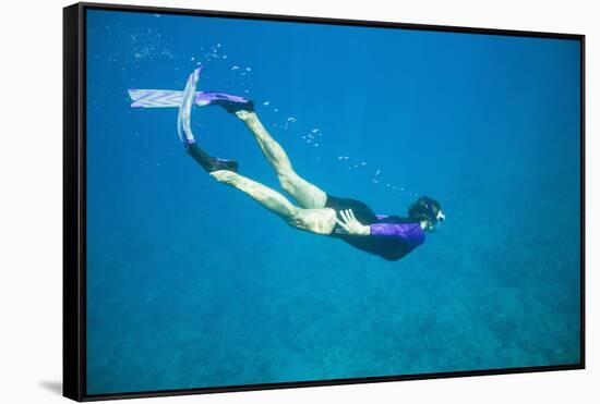 Snorkeler Diving Underwater-DLILLC-Framed Stretched Canvas