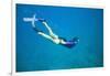 Snorkeler Diving Underwater-DLILLC-Framed Photographic Print