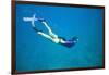 Snorkeler Diving Underwater-DLILLC-Framed Photographic Print