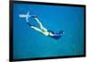 Snorkeler Diving Underwater-DLILLC-Framed Photographic Print