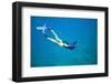Snorkeler Diving Underwater-DLILLC-Framed Photographic Print