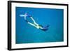 Snorkeler Diving Underwater-DLILLC-Framed Photographic Print