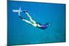 Snorkeler Diving Underwater-DLILLC-Mounted Photographic Print