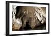 Snorkeler Explores the Spectacular Tomolol Caves, Raja Ampat-null-Framed Photographic Print