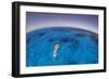 Snorkeler exploring lagoon in Bora Bora, French Polynesia-Stocktrek Images-Framed Photographic Print