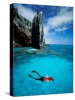 Snorkeler, Isla Tortuga, Galapagos Islands, Ecuador-Jack Stein Grove-Stretched Canvas