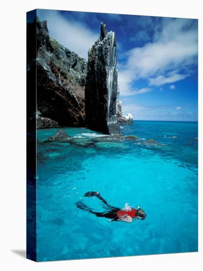 Snorkeler, Isla Tortuga, Galapagos Islands, Ecuador-Jack Stein Grove-Stretched Canvas